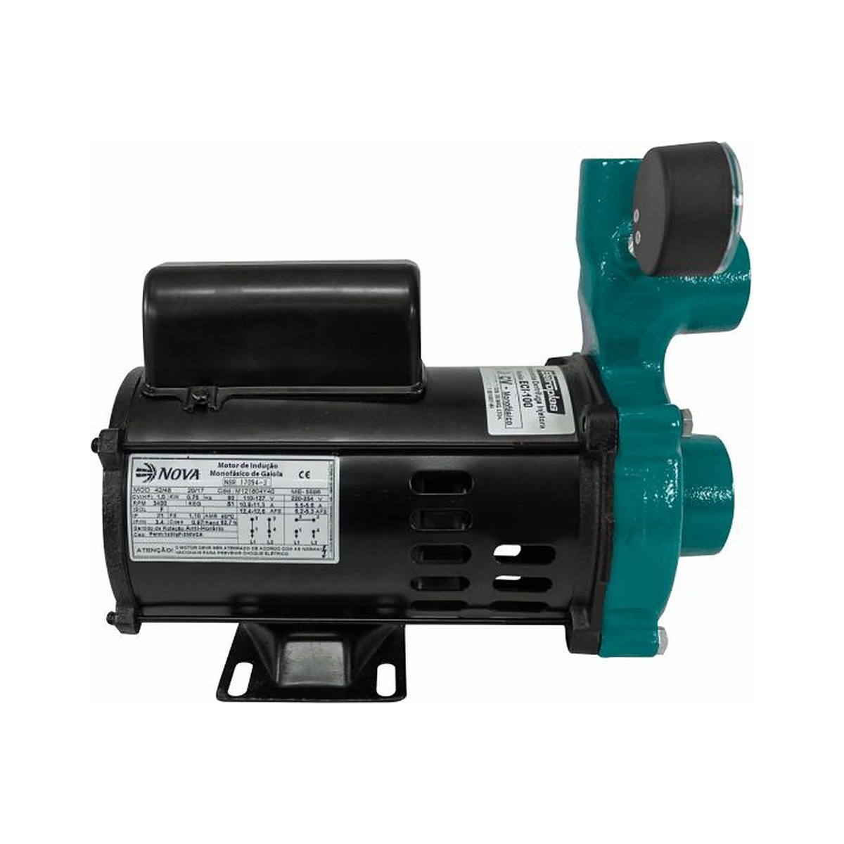 Motobomba Centrífuga Injetora Eletroplas ECI I-210 1/3 a 1 CV